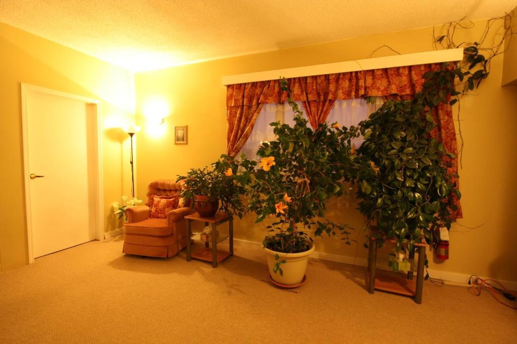 Villa Maria Country Inn Acheson Kültér fotó
